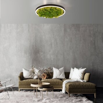 JUST LIGHT GERDA RITUS Plafondlamp LED Zwart, 1-licht