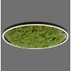 JUST LIGHT GERDA RITUS Plafondlamp LED Zwart, 1-licht