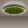 JUST LIGHT GERDA RITUS Plafondlamp LED Zwart, 1-licht
