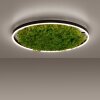 Leuchten-Direkt GREEN RITUS Plafondlamp LED Zwart, 1-licht