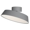 Design For The People by Nordlux KAITO Plafondlamp LED Grijs, 1-licht