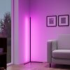 Reality LEVEL Staande lamp LED Zwart, 1-licht, Afstandsbediening, Kleurwisselaar
