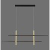Paul Neuhaus BARRA Hanglamp LED Goud, Zwart, 1-licht