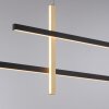 Paul Neuhaus BARRA Hanglamp LED Goud, Zwart, 1-licht