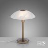 Paul Neuhaus ENOVA Tafellamp LED Oud messing, 1-licht