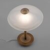Paul Neuhaus ENOVA Tafellamp LED Oud messing, 1-licht
