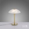 Paul Neuhaus ENOVA Tafellamp LED Messing, 1-licht