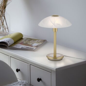 Paul Neuhaus ENOVA Tafellamp LED Messing, 1-licht