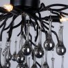 Paul Neuhaus ICICLE Plafondlamp Zwart, 4-lichts