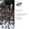 Paul Neuhaus ICICLE Plafondlamp Zwart, 14-lichts
