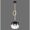 Paul Neuhaus LUMA Hanglamp Zwart, 1-licht
