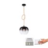 Paul Neuhaus LUMA Hanglamp Zwart, 1-licht