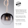 Paul Neuhaus LUMA Hanglamp Zwart, 1-licht