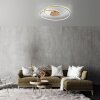 Paul Neuhaus NASTRO Plafondlamp LED Goud, 1-licht
