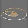 Paul Neuhaus NASTRO Plafondlamp LED Goud, 1-licht