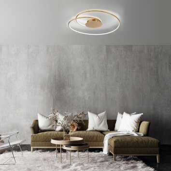 Paul Neuhaus NASTRO Plafondlamp LED Goud, 1-licht