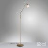 Paul Neuhaus PINO Staande lamp LED Oud messing, 1-licht