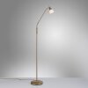 Paul Neuhaus PINO Staande lamp LED Oud messing, 1-licht