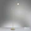 Paul Neuhaus PINO Staande lamp LED Messing, 1-licht