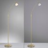 Paul Neuhaus PINO Staande lamp LED Messing, 1-licht