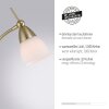 Paul Neuhaus PINO Staande lamp LED Messing, 1-licht