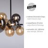Paul Neuhaus POPSICLE Plafondlamp LED Zwart, 10-lichts