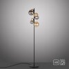 Paul Neuhaus POPSICLE Staande lamp LED Zwart, 7-lichts