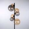 Paul Neuhaus POPSICLE Staande lamp LED Zwart, 7-lichts