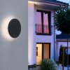 Paul Neuhaus PUNTUA Buiten muurverlichting LED Antraciet, 1-licht
