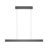 Paul Neuhaus PURE E-MOTION Hanglamp LED Grijs, 1-licht, Afstandsbediening