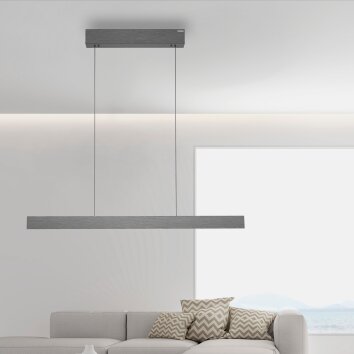 Paul Neuhaus PURE E-MOTION Hanglamp LED Grijs, 1-licht, Afstandsbediening
