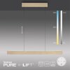 Paul Neuhaus PURE E-MOTION Hanglamp LED Goud, 1-licht, Afstandsbediening