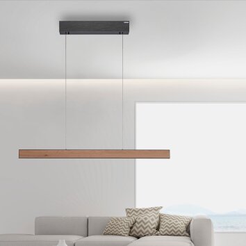 Paul Neuhaus PURE E-MOTION Hanglamp LED houtlook, Zwart, 1-licht, Afstandsbediening