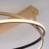 Paul Neuhaus Q-BELUGA Plafondlamp LED Goud, 1-licht, Afstandsbediening
