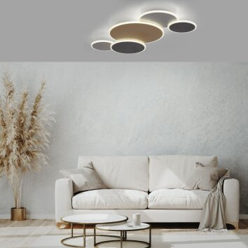 Paul Neuhaus Q-PIATO Plafondlamp LED Wit, 1-licht, Afstandsbediening