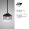 Leuchten-Direkt ZEA Hanglamp Zwart, 1-licht
