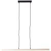 Brilliant Arion Hanglamp LED Zwart, 1-licht