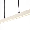Brilliant Arion Hanglamp LED Zwart, 1-licht