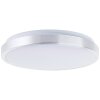 Brilliant Livius Plafondlamp LED Zilver, 1-licht