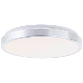 Brilliant Livius Plafondlamp LED Zilver, 1-licht