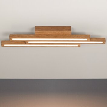 Cajas Plafondlamp LED Natuurlijke kleuren, 3-lichts