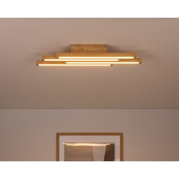 Cajas Plafondlamp LED Natuurlijke kleuren, 4-lichts