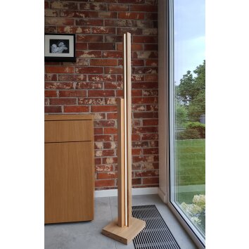 Chinchinales Staande lamp LED Natuurlijke kleuren, 1-licht