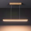 Mixto Hanglamp LED Natuurlijke kleuren, 1-licht