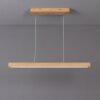 Mixto Hanglamp LED Natuurlijke kleuren, 1-licht