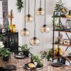 Apedo Hanger - Glas Amber, Duidelijk, 5-lichts