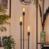 Maiford Staande lamp Zwart, 3-lichts