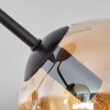 Gastor Plafondlamp - Glas Amber, Duidelijk, Zwart, 3-lichts