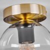Koyoto Plafondlamp - Glas Messing, Zwart, 1-licht