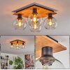 Koyoto Plafondlamp - Glas Natuurlijke kleuren, Zwart, 4-lichts